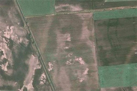 Những bức ảnh bí ẩn trên bản đồ Google năm 2010 ảnh 5