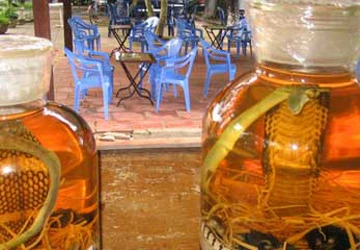 Độc chiêu lừa trong thế giới mãng xà ảnh 2