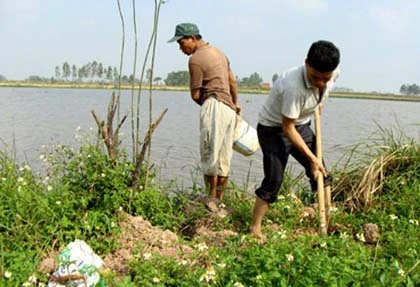 Xơi chuột sống và đặc sản chuột trinh nữ ảnh 8