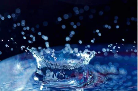 Những hình ảnh quay chậm đẹp và hài hước ảnh 15 Những hình ảnh quay chậm đẹp và hài hước ảnh 15