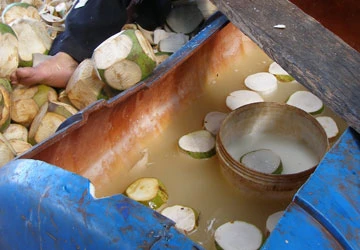 Chất tẩy trắng trái dừa làm ảnh hưởng hệ thần kinh ảnh 1