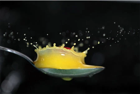 Thời gian ngưng đọng qua ảnh chụp tốc độ cao ảnh 16 Thời gian ngưng đọng qua ảnh chụp tốc độ cao ảnh 16