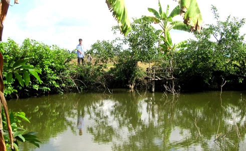 Cô bé bán cà và gánh nặng tội lỗi ảnh 1