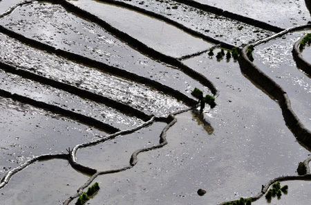 Ngắm Sapa trong vụ cấy mới ảnh 9