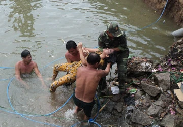 Miền Tây vào mùa sạt lở, đã có người chết ảnh 2 Miền Tây vào mùa sạt lở, đã có người chết ảnh 2