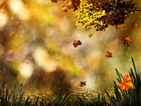 Đẹp nhẹ nhàng và lãng mạn với bộ hình nền “mưa” ảnh 18 Đẹp nhẹ nhàng và lãng mạn với bộ hình nền “mưa” ảnh 18