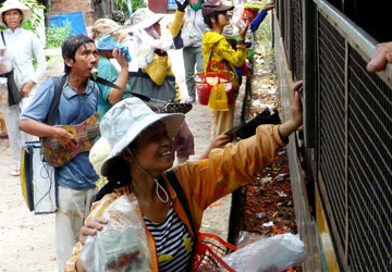 “Phi đội nhảy tàu” ở Đà Nẵng ảnh 4