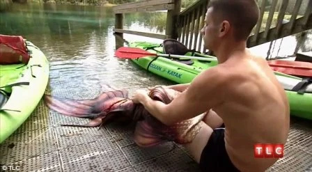 Gặp “chàng tiên cá” ngoài đời thực ảnh 7