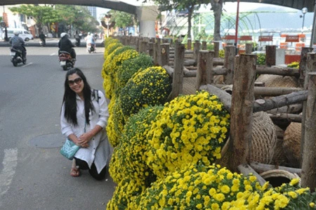 Xem rắn hoa “khủng” nhả ngọc bên bờ Hàn Giang ảnh 1