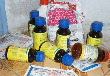 Hiểm họa từ thực phẩm nhiễm thuốc trừ sâu ảnh 1