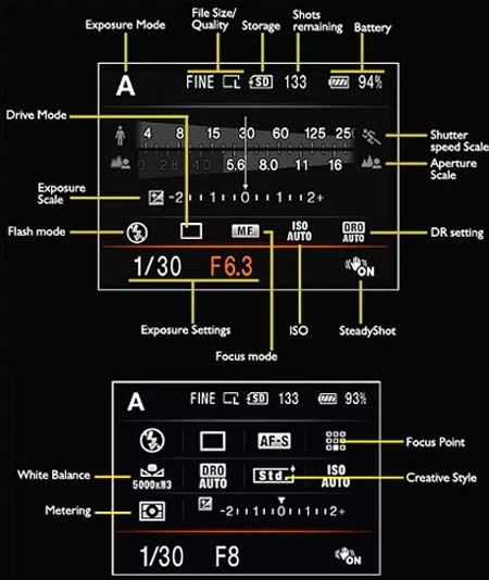 Sony Alpha A550 ảnh 2