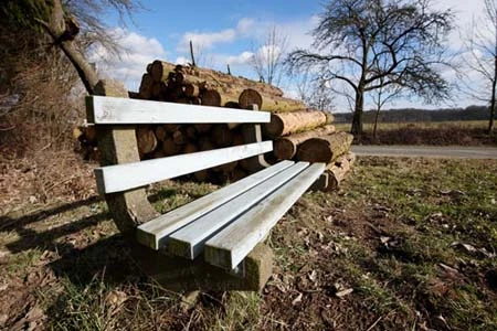 Ảnh chụp từ ống kính Nikon siêu rộng ảnh 5