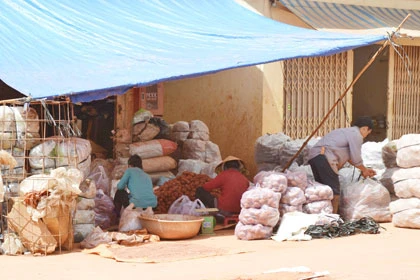 Đủ chiêu đưa rau củ Trung Quốc vào chợ ảnh 1