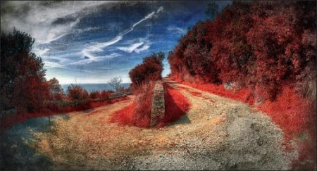 Độ tương phản màu đẹp lạ qua ảnh hồng ngoại ảnh 4