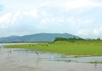 Kỳ cuối: Nơi sông Mã gặp biển ảnh 2