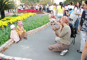 Đường hoa tết - nét đẹp văn hóa vì cộng đồng ảnh 2