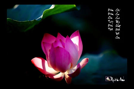 Triển lãm ảnh "Bóng mẹ" gây quỹ từ thiện ảnh 11