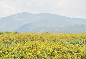 Mây gió tâm linh ảnh 2 Mây gió tâm linh ảnh 2