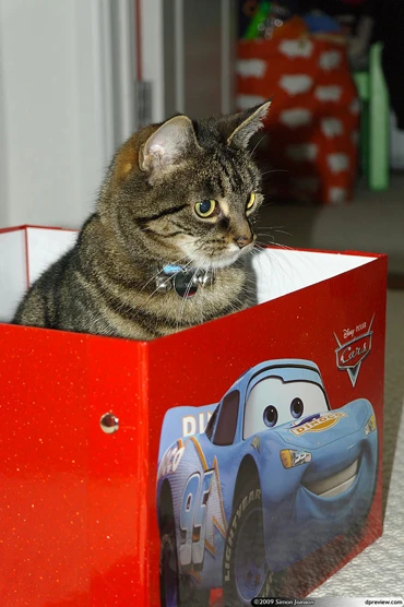 Ngắm ảnh chụp bằng DSLR của Samsung ảnh 14