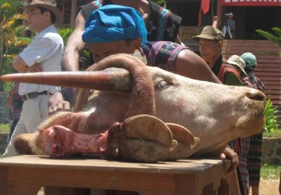 Tết cổ truyền của người Tà Ôi ảnh 4