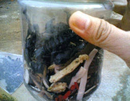 Một hũ nhỏ “thần dược” giá tiếp thị 500.000 đồng.