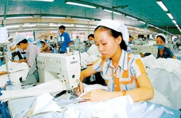 Lương tối thiểu chưa phải “khuôn vàng, thước ngọc” ảnh 1