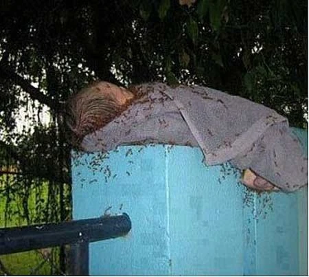 Ai đã từng khóc khi xem những bức ảnh này? ảnh 6