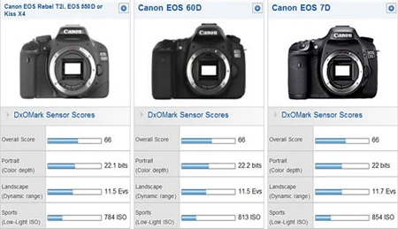 Canon 60D cho chất ảnh tương đương 550D và 7D ảnh 2