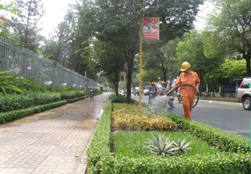 Giao khu phố bảo vệ cây xanh ảnh 1