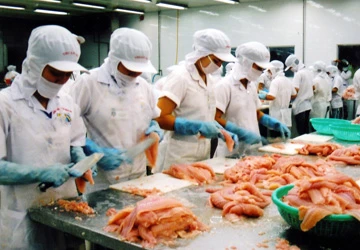 Lúng túng trước những thông tư chồng chéo ảnh 1 Lúng túng trước những thông tư chồng chéo ảnh 1