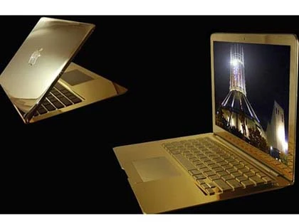 iPad đính... xương khủng long ảnh 3