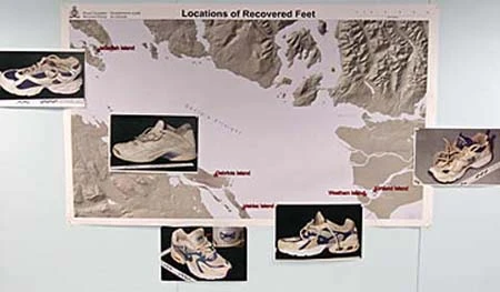 Những vụ án bí ẩn làm rúng động thế giới ảnh 4