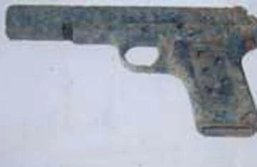 Gặp người nữ du kích từng mưu sát Tổng thống Nguyễn Văn Thiệu ảnh 2 Gặp người nữ du kích từng mưu sát Tổng thống Nguyễn Văn Thiệu ảnh 2