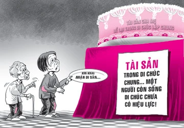 Vợ chồng lập di chúc chung, nhiều rắc rối ảnh 1