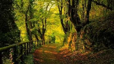 Bộ sưu tập giao diện đẹp dành cho Windows (Phần 5) ảnh 8