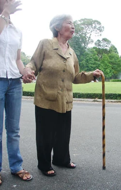 Cả nước viếng chú sáu Dân ảnh 2