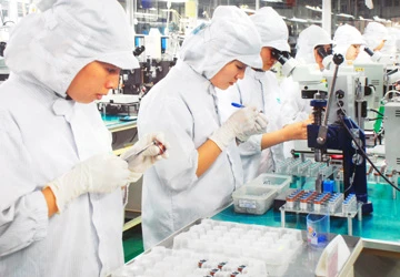 Liên kết vùng để cùng phát triển ảnh 2