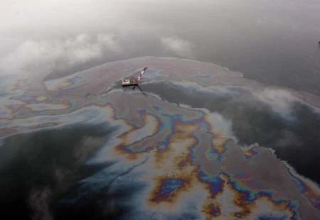 Thảm họa tràn dầu ở Trung Quốc ảnh 7