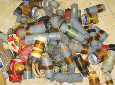 Diệt rùa tai đỏ ở hồ Gươm ảnh 2