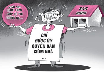 Dân kiện vì bị thu thuế ủy quyền bán nhà ảnh 1 Dân kiện vì bị thu thuế ủy quyền bán nhà ảnh 1