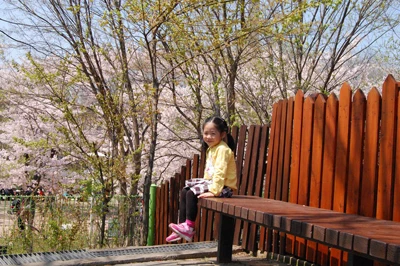 Ở xứ lạ, thèm lắm tết quê hương! ảnh 1