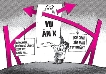 Án đã ổn, sao cứ lật lại? ảnh 1