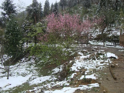 Tuyết rơi tháng 3 là sự bất thường của thời tiết ảnh 1