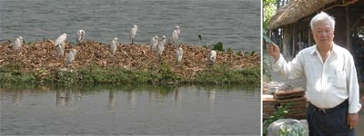 Từ chối 7.000 cây vàng để giữ vườn cò ảnh 1