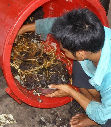 Phù phép lòng bò thành khô bò ảnh 2