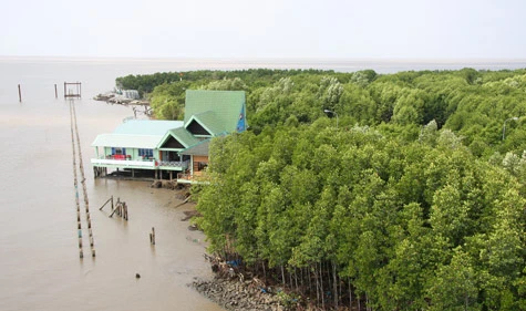 Xúc động ngắm mũi Cà Mau từ vũ trụ ảnh 12 Xúc động ngắm mũi Cà Mau từ vũ trụ ảnh 12