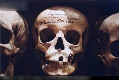 Bảo tàng rùng rợn nhất thế giới ảnh 6