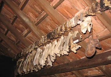 Bộ tộc "săn thủ cấp" ở Việt Nam ảnh 1