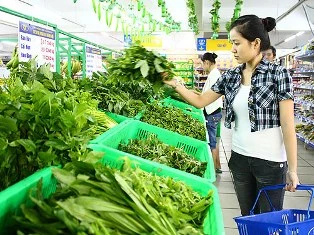 Phòng bệnh đường ruột dịp Tết ảnh 1