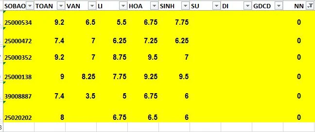5/6 thí sinh bị điểm 0 môn ngoại ngữ đều ở tỉnh Nam Định